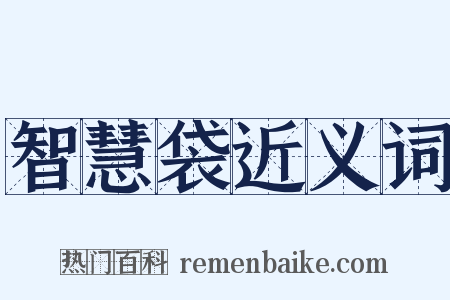 智慧袋近义词是什么意思的图片